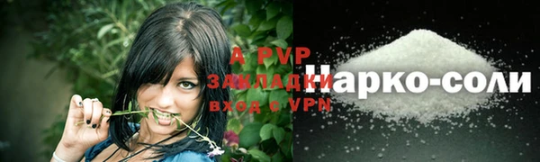 бошки Ладушкин