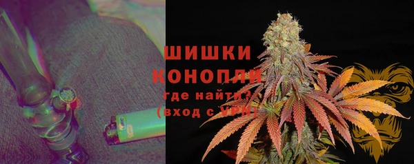 бошки Ладушкин