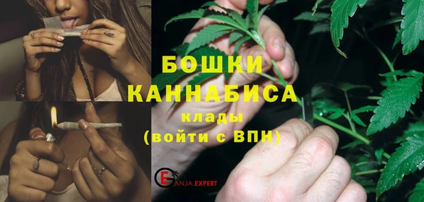 бошки Ладушкин